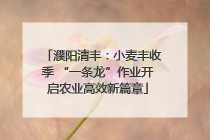 濮阳清丰：小麦丰收季 “一条龙”作业开启农业高效新篇章